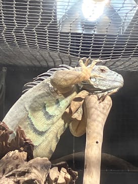 カワスイ 川崎⽔族館に投稿された画像（2024/6/23）