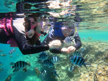 武藤潜水に投稿された画像（2024/6/23）