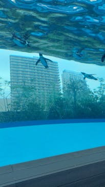 サンシャイン水族館に投稿された画像（2024/6/23）