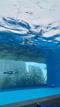 サンシャイン水族館に投稿された画像（2024/6/23）