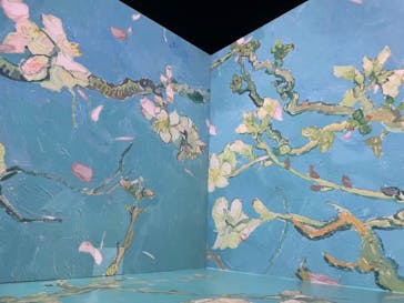 Immersive Museum OSAKA 2025に投稿された画像（2024/6/23）