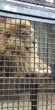 宇都宮動物園に投稿された画像（2024/6/23）