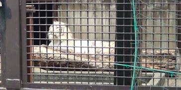 宇都宮動物園に投稿された画像（2024/6/23）