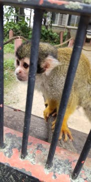 宇都宮動物園に投稿された画像（2024/6/23）