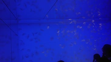 アクアワールド茨城県大洗水族館に投稿された画像（2024/6/23）