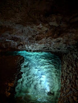 おきなわワールドに投稿された画像（2024/6/23）