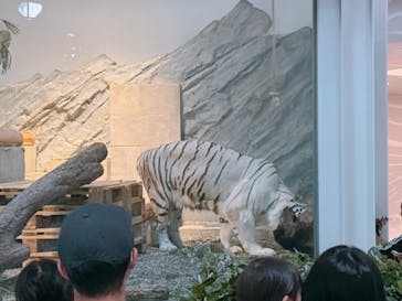 NIFREL（ニフレル）に投稿された画像（2024/6/23）