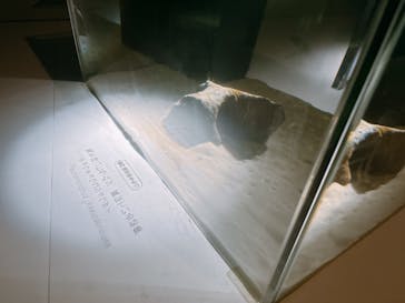 NIFREL（ニフレル）に投稿された画像（2024/6/23）