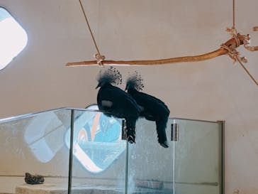 NIFREL（ニフレル）に投稿された画像（2024/6/23）