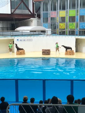 伊豆・三津シーパラダイスに投稿された画像（2024/6/23）