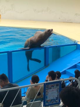 伊豆・三津シーパラダイスに投稿された画像（2024/6/23）