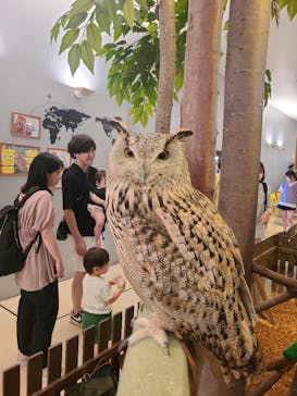 Moff animal cafe イオンモール幕張新都心店に投稿された画像（2024/6/23）