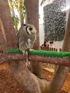 Moff animal cafe イオンモール幕張新都心店に投稿された画像（2024/6/23）