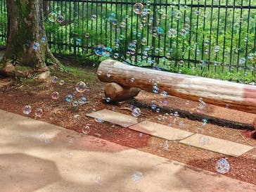 ムーミンバレーパークに投稿された画像（2024/6/23）