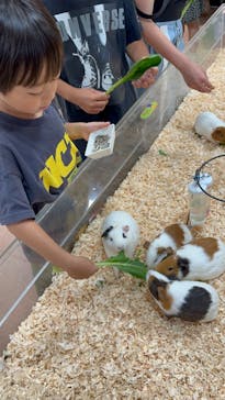 いきもの探検隊上尾に投稿された画像（2024/6/23）