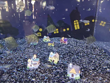 世界淡水魚園水族館　アクア・トトぎふに投稿された画像（2024/6/23）