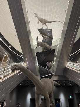 福井県立恐竜博物館に投稿された画像（2024/6/23）