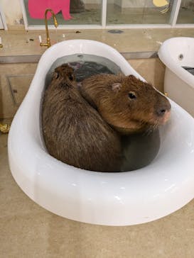 アニタッチ MARK IS 静岡に投稿された画像（2024/6/23）