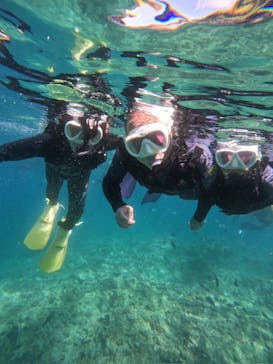 沖縄マリンサービス碧に投稿された画像（2024/6/23）