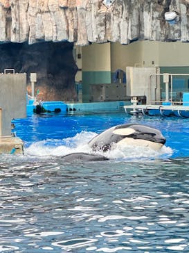 名古屋港水族館に投稿された画像（2024/6/23）