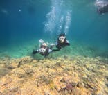 沖縄マリンサービス碧に投稿された画像（2024/6/23）