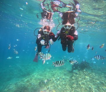 沖縄マリンサービス碧に投稿された画像（2024/6/23）