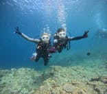 沖縄マリンサービス碧に投稿された画像（2024/6/23）