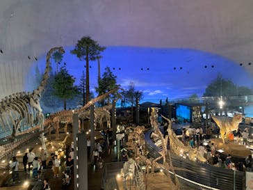 福井県立恐竜博物館に投稿された画像（2024/6/23）