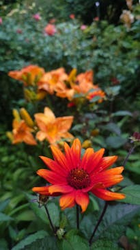 横浜イングリッシュガーデンに投稿された画像（2024/6/23）