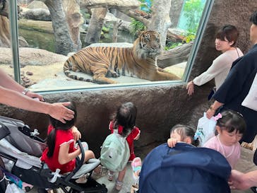 神戸どうぶつ王国に投稿された画像（2024/6/23）