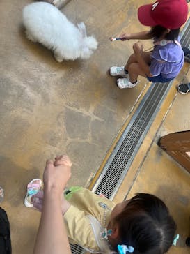 神戸どうぶつ王国に投稿された画像（2024/6/23）