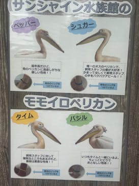 サンシャイン水族館に投稿された画像（2024/6/23）