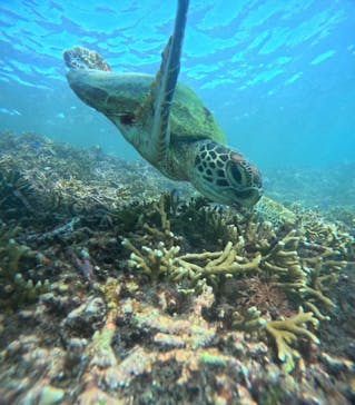 宮古島 ADVENTURE PiPi（ミヤコジマ アドベンチャー ピピ）に投稿された画像（2024/6/23）