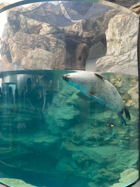 京都水族館に投稿された画像（2024/6/23）
