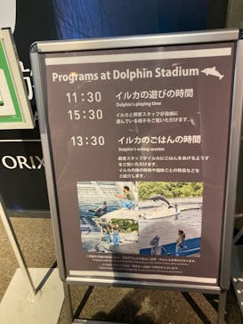 京都水族館に投稿された画像（2024/6/23）