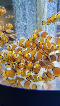 鴨川シーワールドに投稿された画像（2024/6/23）