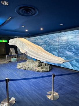 横浜・八景島シーパラダイスに投稿された画像（2024/6/23）