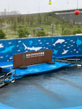 仙台うみの杜水族館に投稿された画像（2024/6/23）