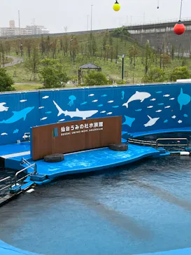 仙台うみの杜水族館に投稿された画像（2024/6/23）