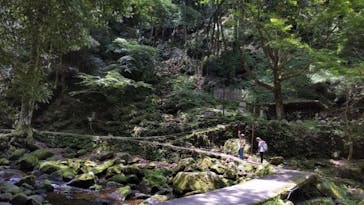 Nabari Experienceに投稿された画像（2024/6/23）