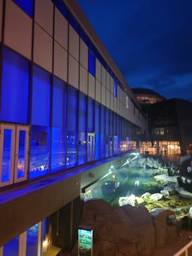 アクアワールド茨城県大洗水族館に投稿された画像（2024/6/23）