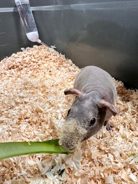 いきもの探検隊上尾に投稿された画像（2024/6/23）