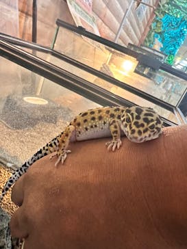 いきもの探検隊上尾に投稿された画像（2024/6/23）