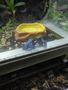 カワスイ 川崎⽔族館に投稿された画像（2024/6/23）