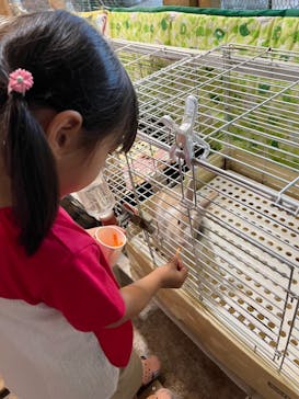 別府ケーブルラクテンチに投稿された画像（2024/6/23）