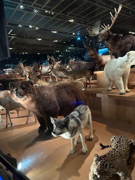 国立科学博物館に投稿された画像（2024/6/23）