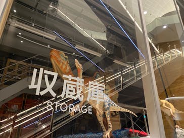 福井県立恐竜博物館に投稿された画像（2024/6/23）