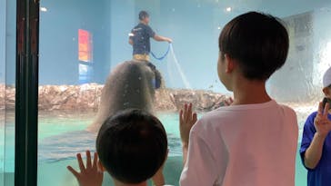 伊豆・三津シーパラダイスに投稿された画像（2024/6/23）