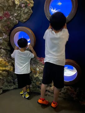 伊豆・三津シーパラダイスに投稿された画像（2024/6/23）