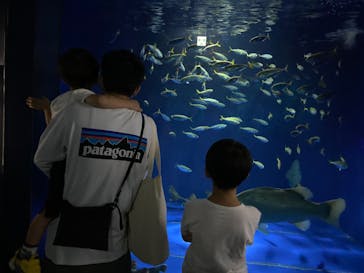 伊豆・三津シーパラダイスに投稿された画像（2024/6/23）